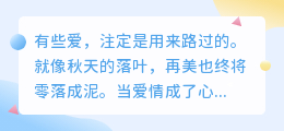 爱若成殇，不如遗忘：一场与自己的和解