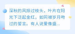 爱是秋日落叶：飘零中的绚烂与释怀
